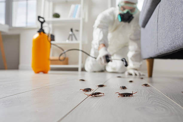 Commercial Kitchen Cockroach Control in Grandview